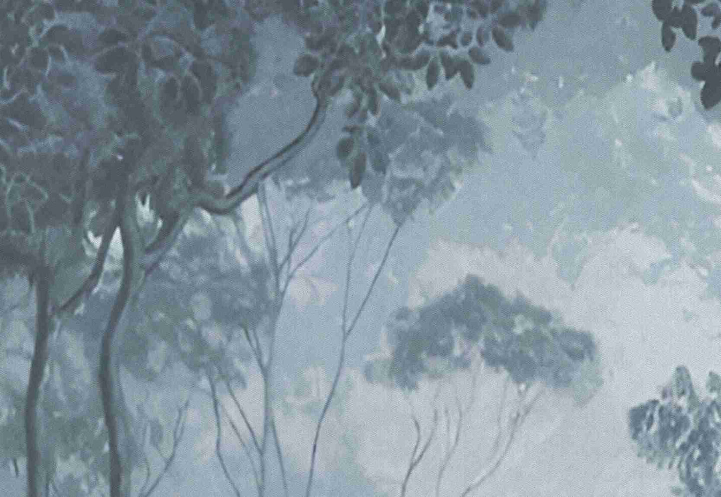 Tropical Black And White Theme Wallpaper