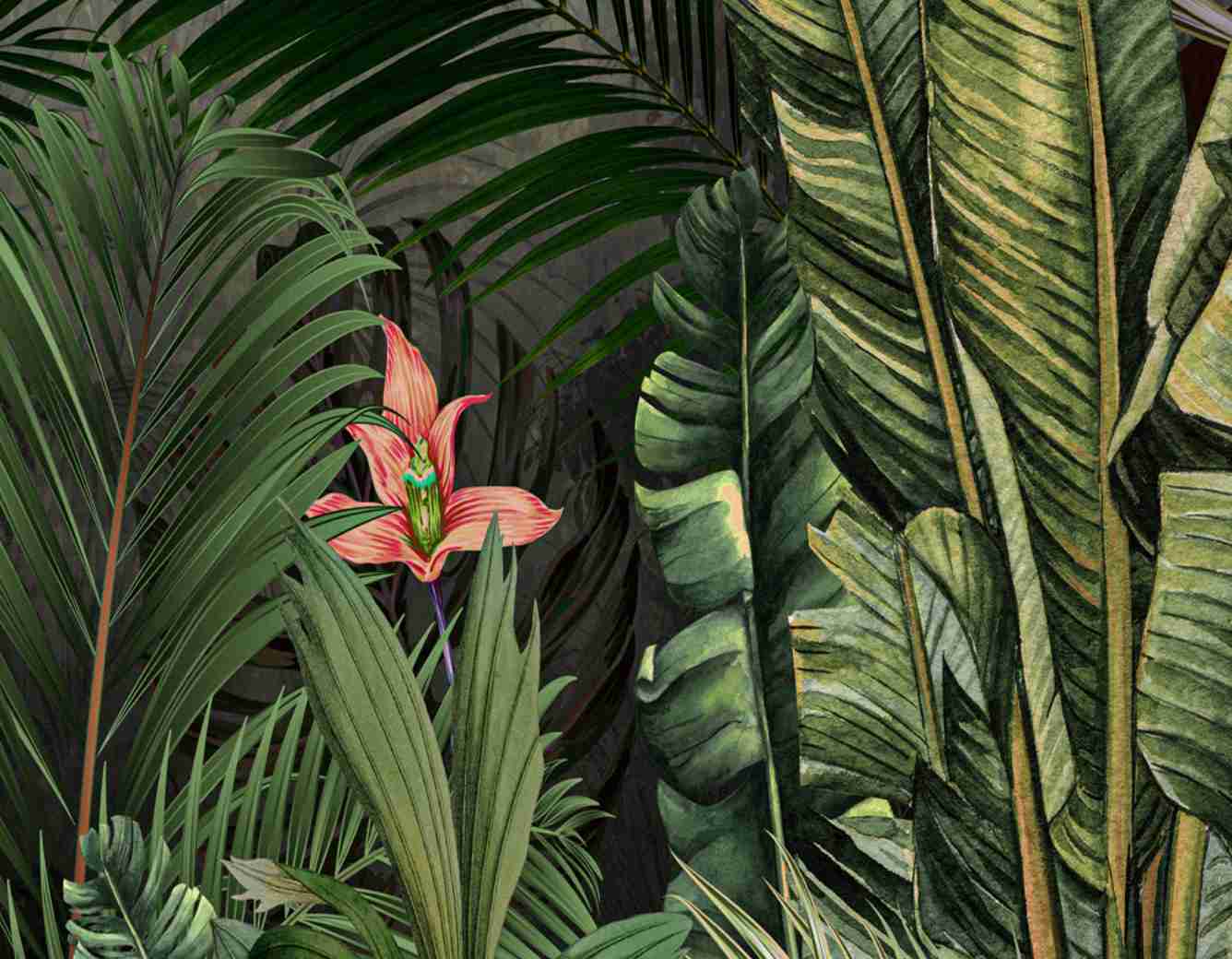 Tropical Forest New Customized Wallpaper