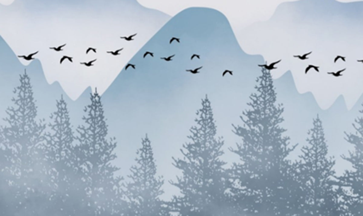 Birds Flying Away By Mountain Range