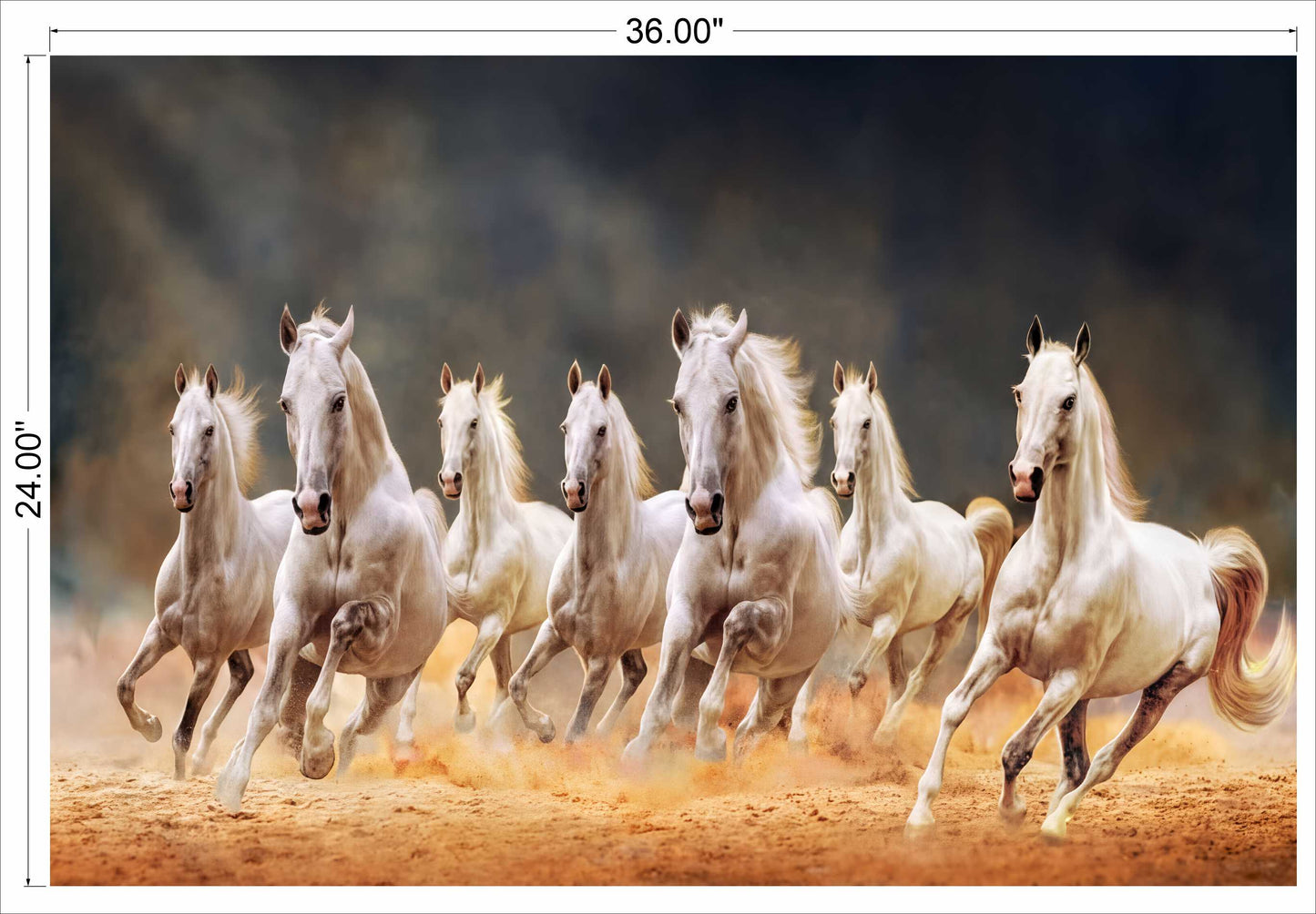 7 horses running on soil