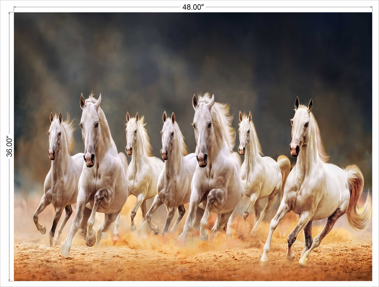7 horses running on soil