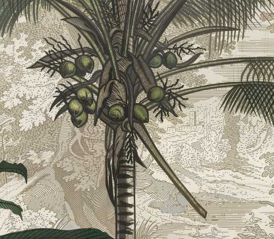 Whispering Palms Tropical