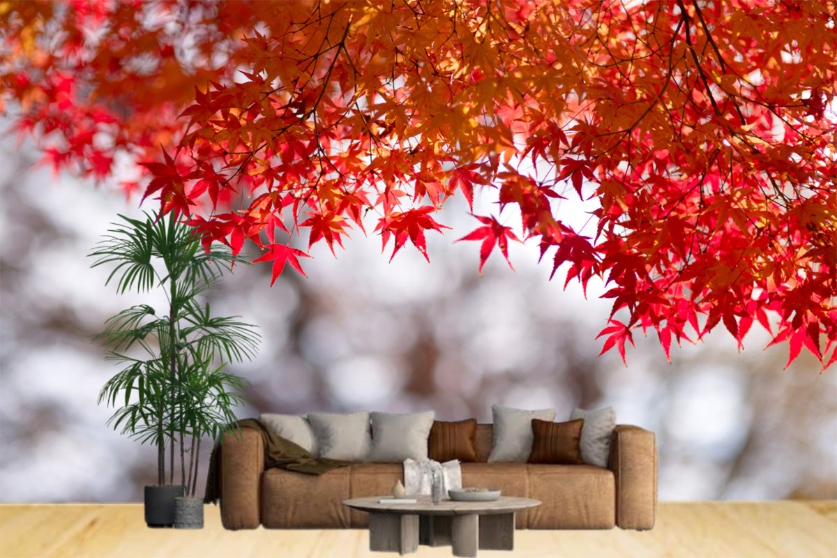 Red Leaves Tree Wallpaper