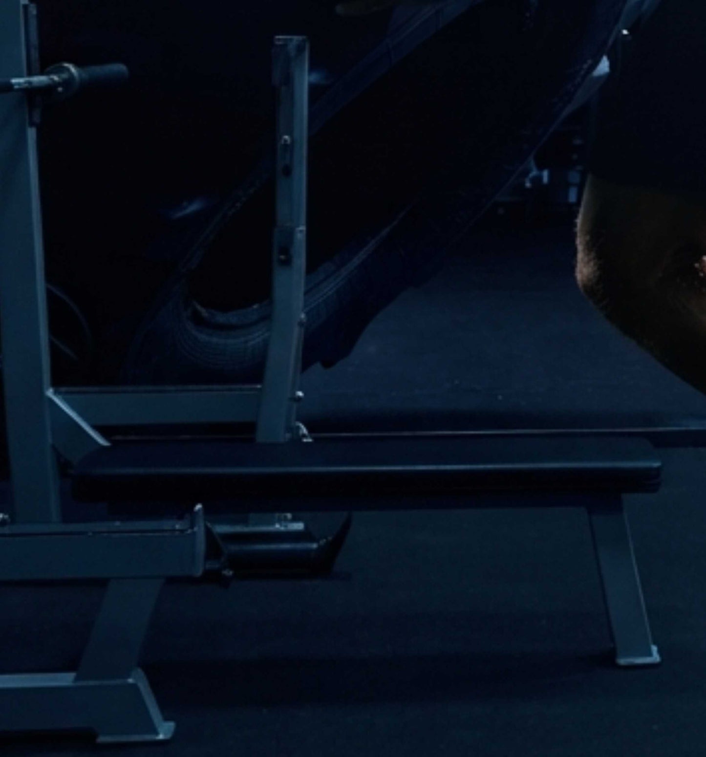 The Grind Lab gym  wallpepar