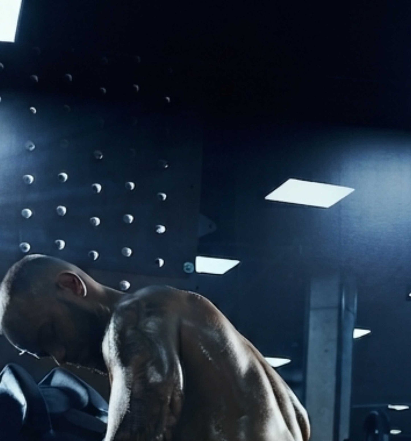 The Grind Lab gym  wallpepar