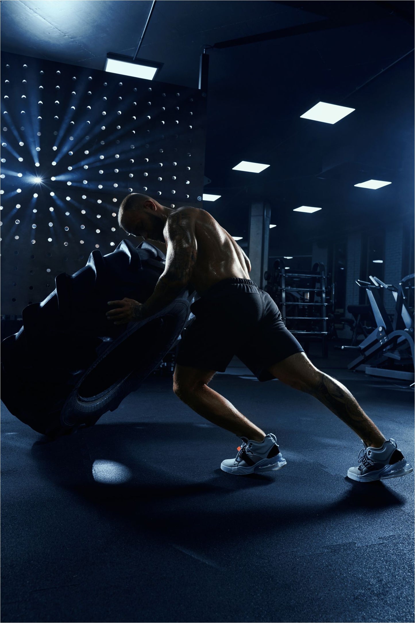 The Grind Lab gym  wallpepar