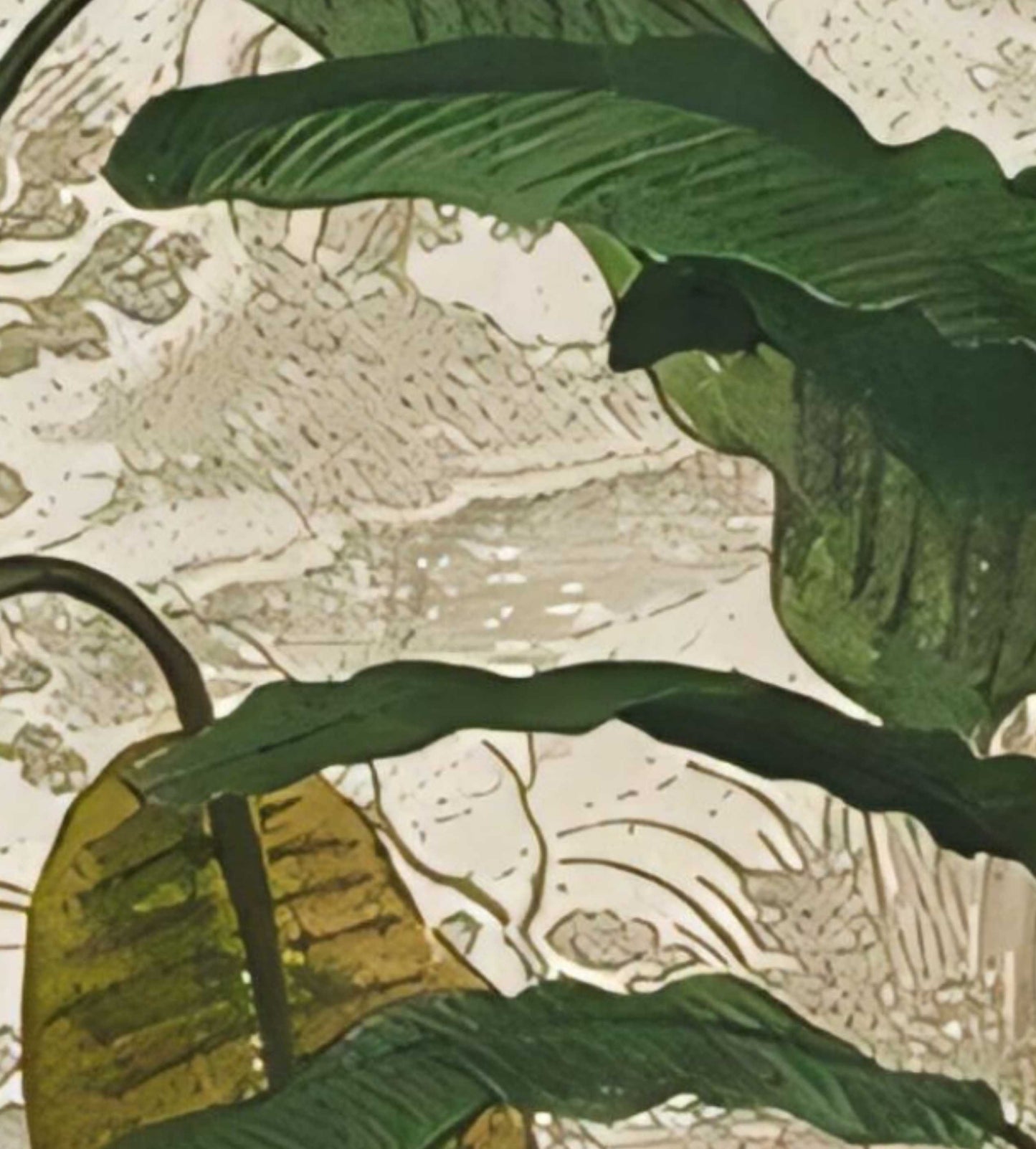 Hazy Meridian Tropical