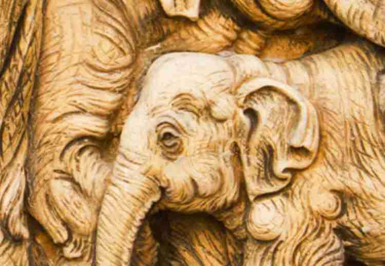 Elephant Family 3 Mural Wallpaper