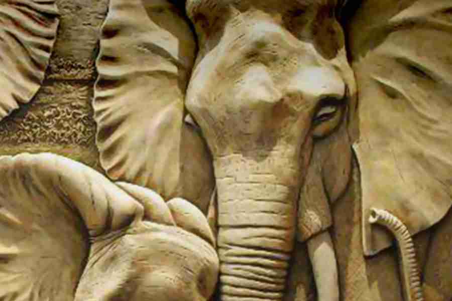 Mural Elephant Family Wallpaper