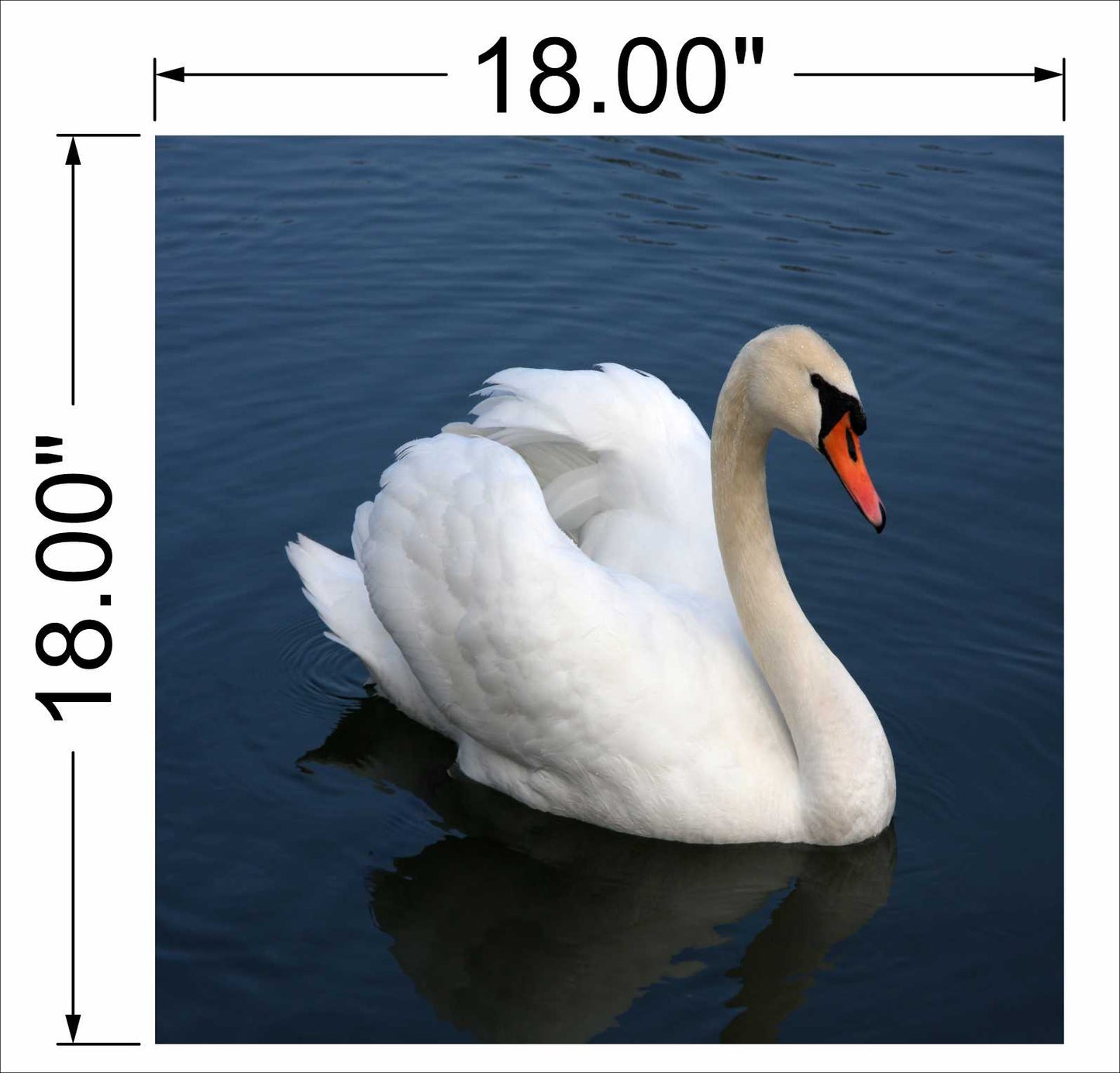 White Flamingo Wall art