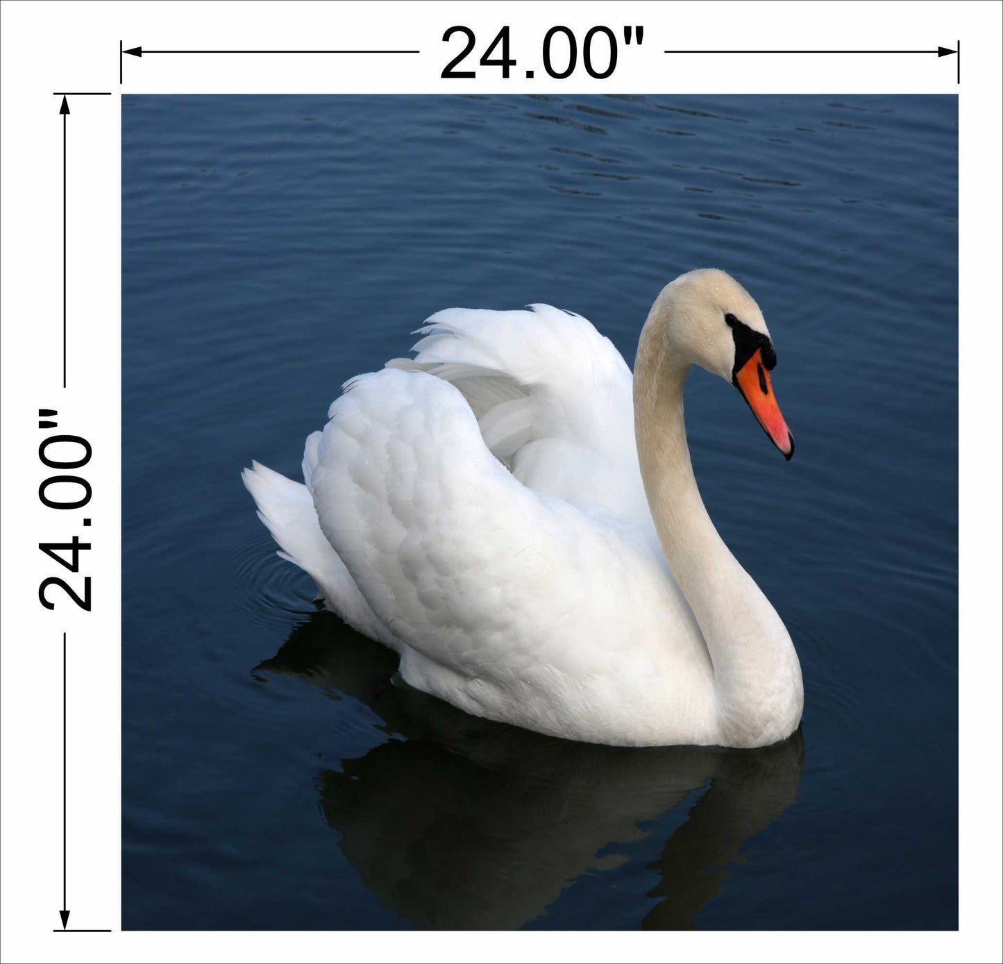 White Flamingo Wall art