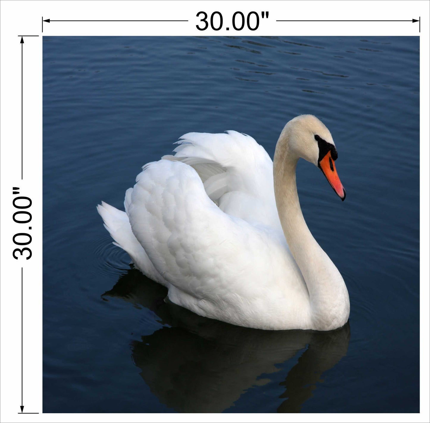 White Flamingo Wall art