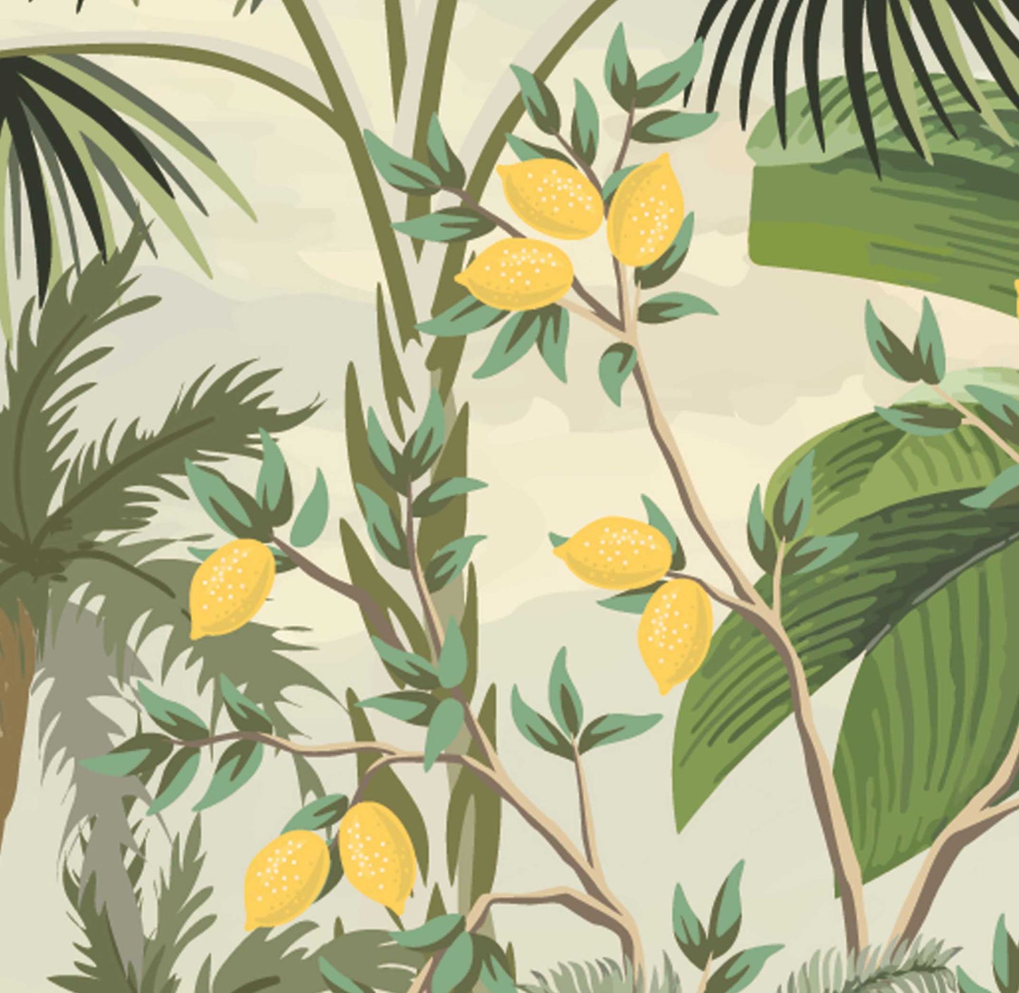 Mango Sunset Tropical